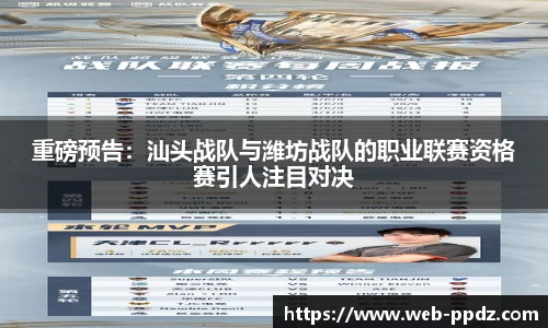 pp电子官网